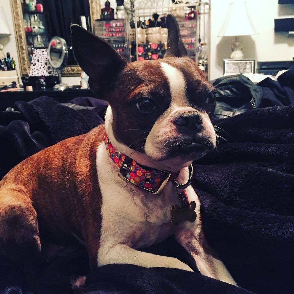 Meet your Posher, Aimee